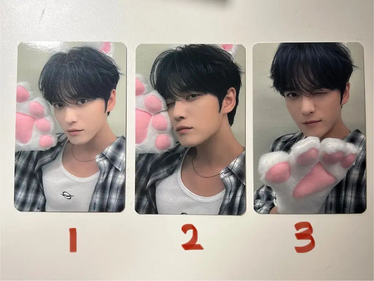 【雷市場（ポンジャン）商品韓国直送】 キム・ジェジュン(KIM JAEJOONG) JUMP UP ペンサ サイン会 猫 フォトカード トレカ
