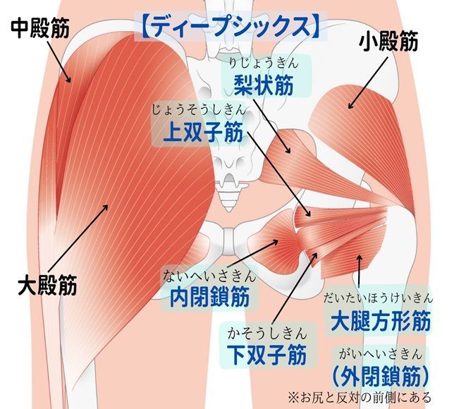 座って股関節ケア！】理学療法士監修、奥まで届くほぐせる