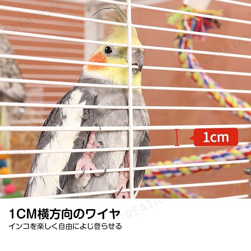 セキセイインコゴザクラインコオカメインコ鳥籠