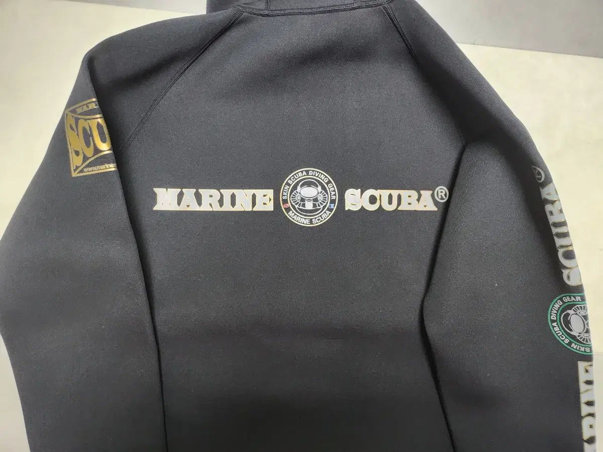 フリーダイビング 水上スキー