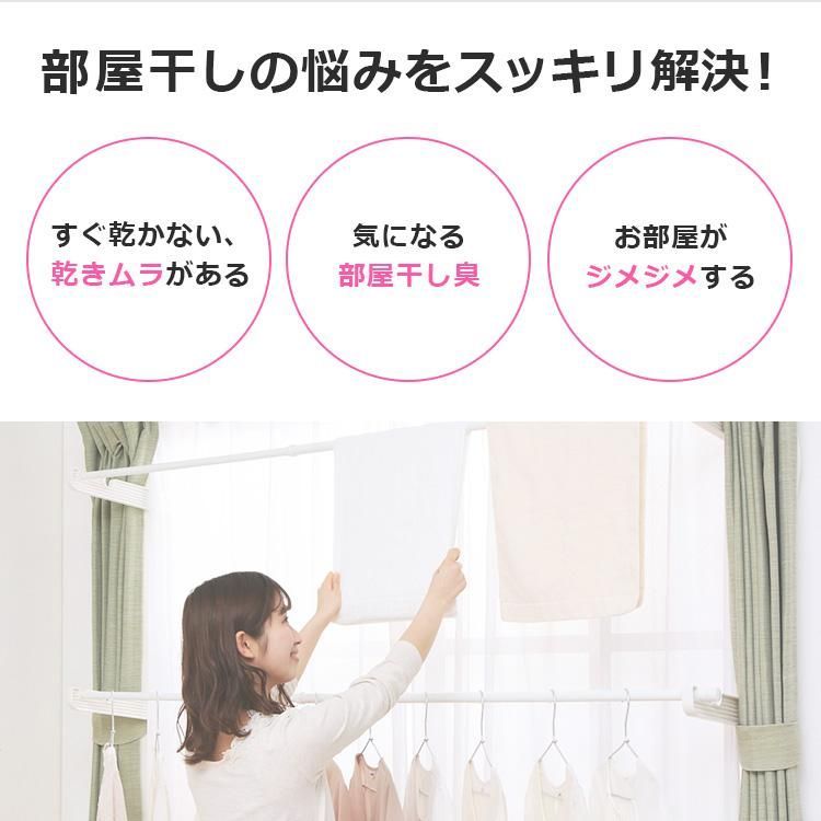 ダニ カビ