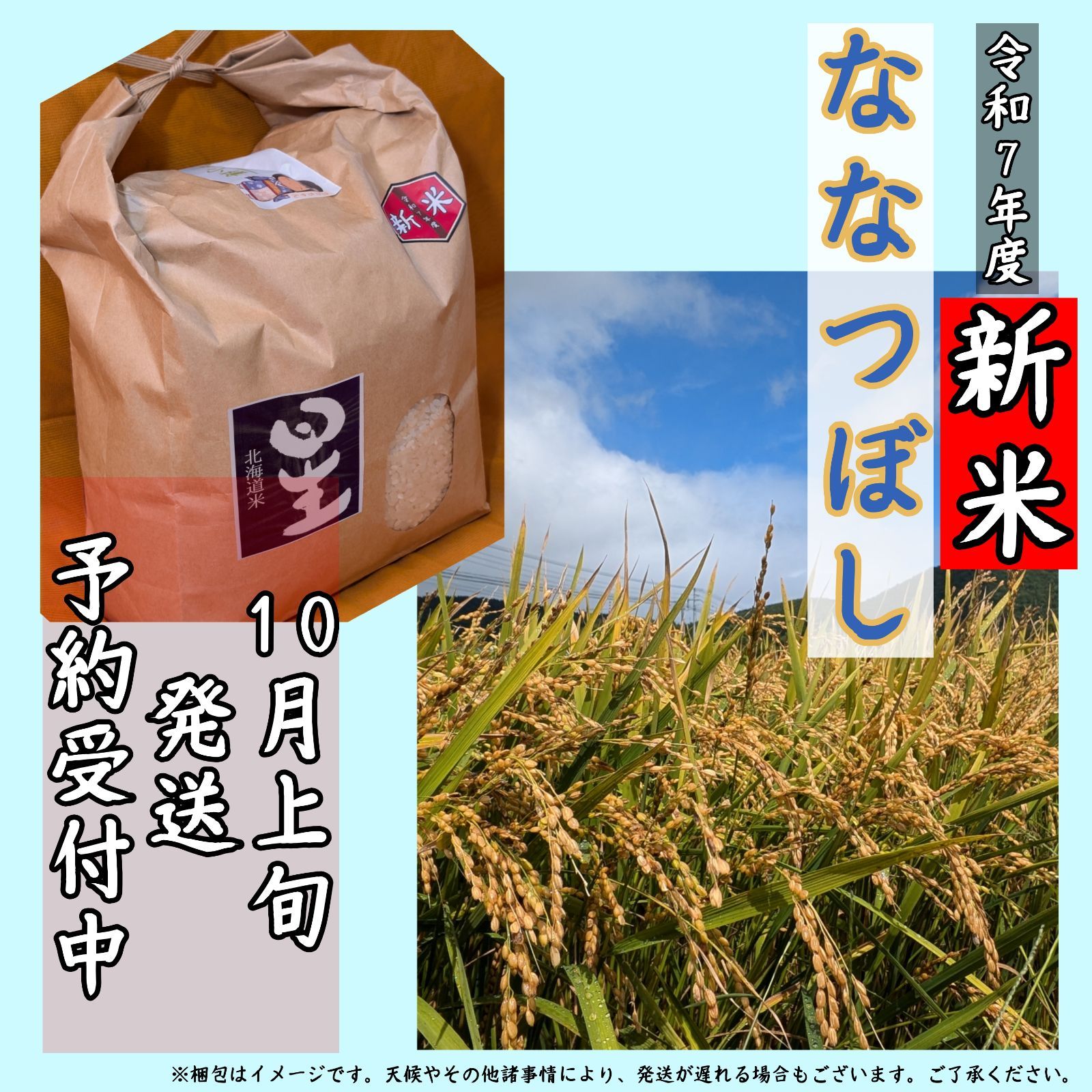 10月上旬発送 令和7年産 新米 ななつぼし 3kg×3袋 計9kg 精米 お米 白米