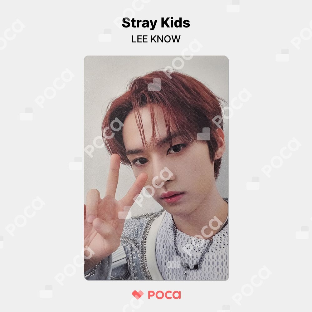 straykids リノ スキズ トレカ Stray Kids LIVE Blu-ray 5-STAR