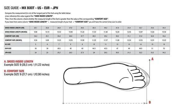 在庫一点のみ アイルトン