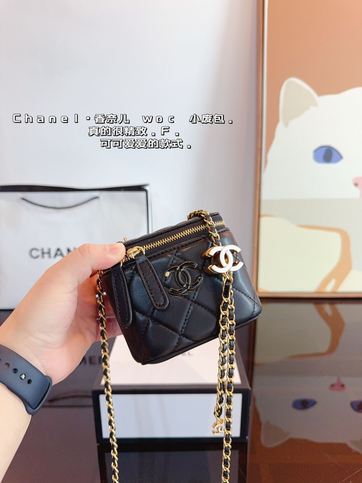 CHANELシャネルエナメル調節バックルポーチ、ハンドバッグ、小銭