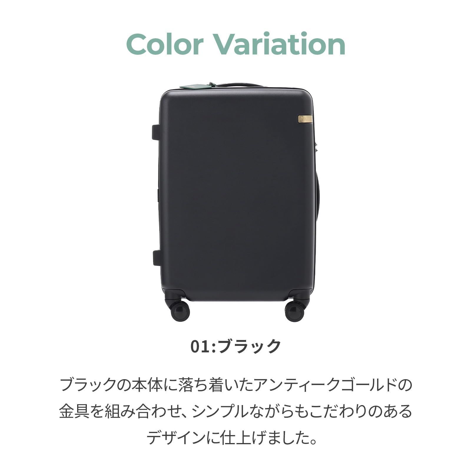 キャリーケース mサイズ