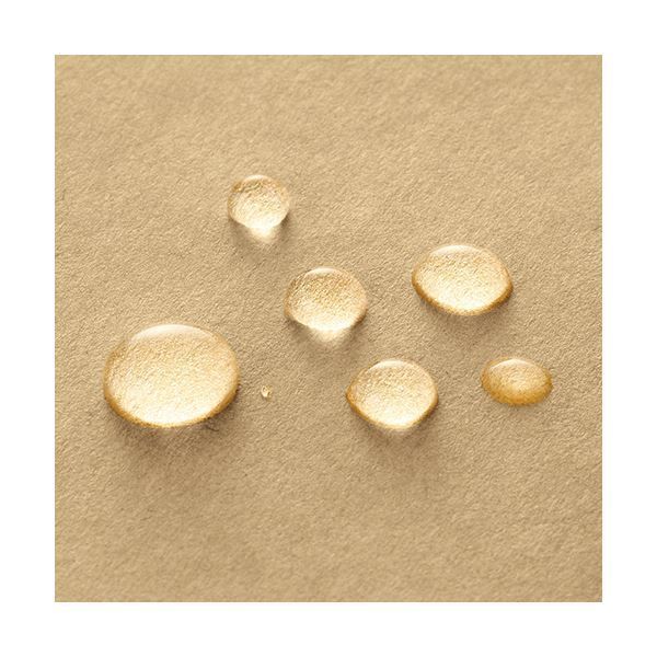  TANOSEE宅配袋 撥水ニス加工 小 茶 テープ付 不祝儀袋 のし袋 のし紙