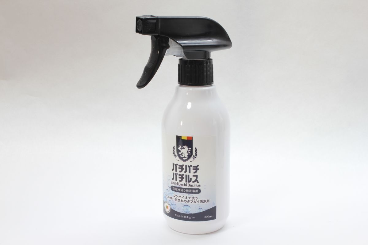 ベルギー生まれ