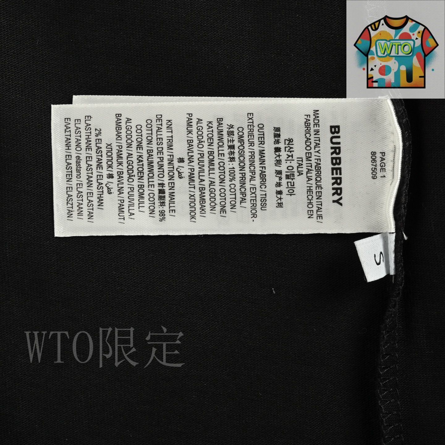 今日WTO】Burberry バーバリー 25ss 帆船プリント T シャツ-SL78