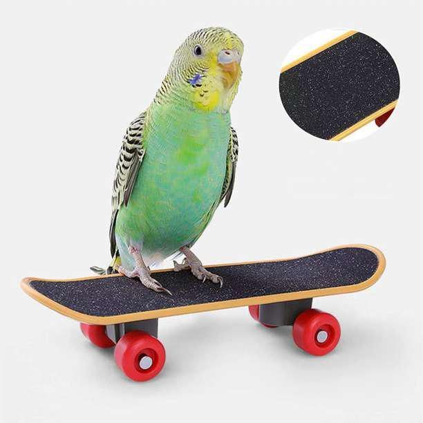 バードトイ 見渡せる スケボー 鳥 おもちゃ インコ 小動物 フィンガー 