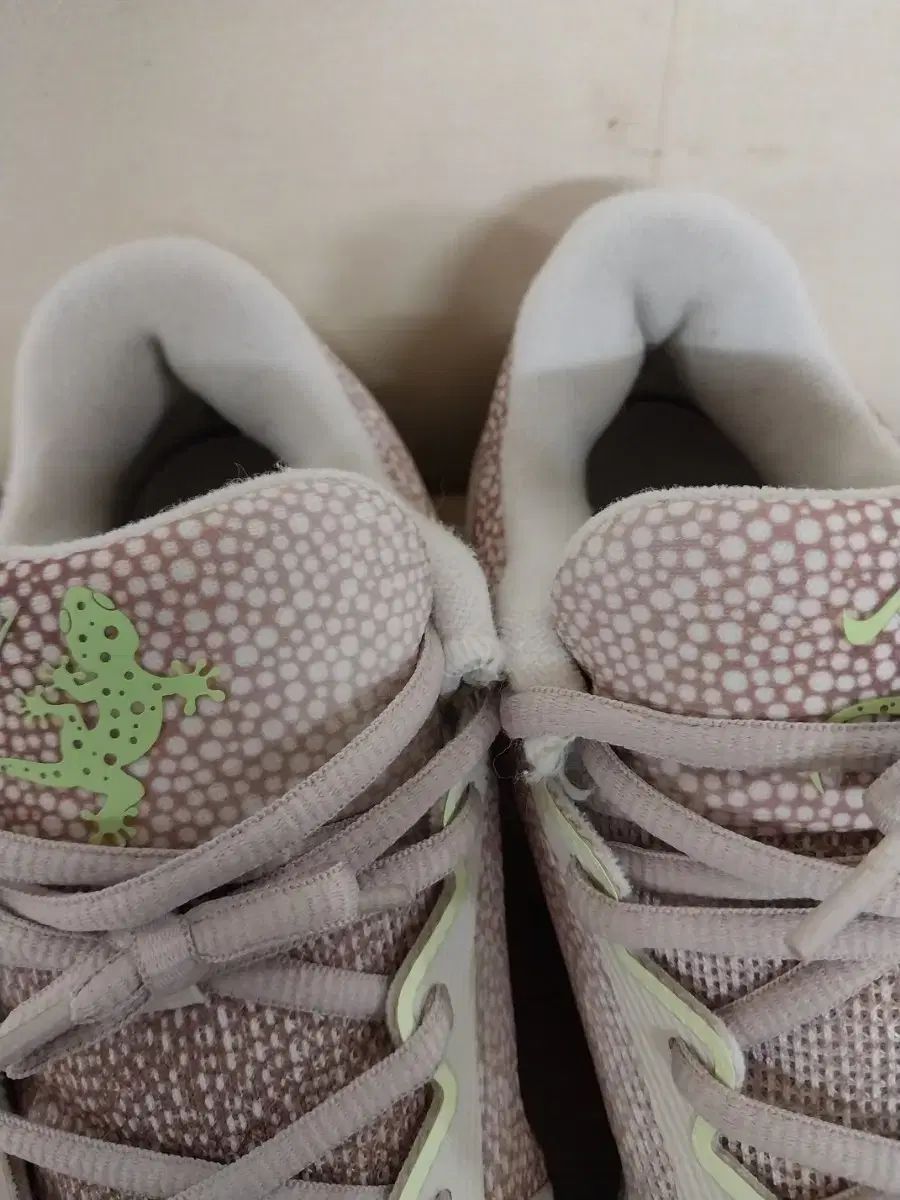 テニスシューズ スニーカー