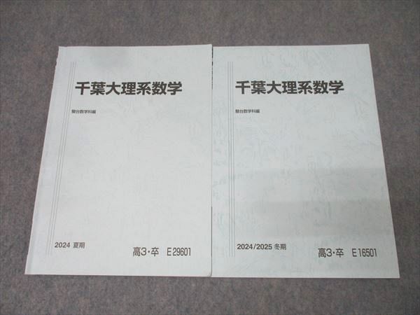 駿台 千葉大理系数学 テキストセット 2024 夏期/冬期 計2冊