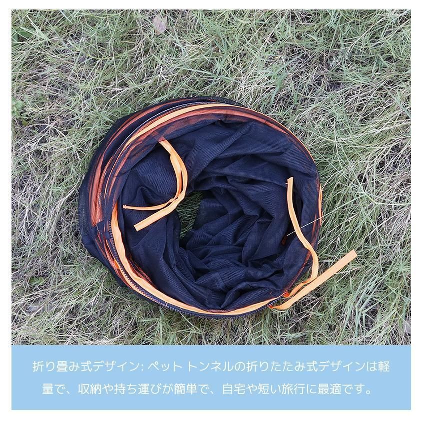 直径31.5cm