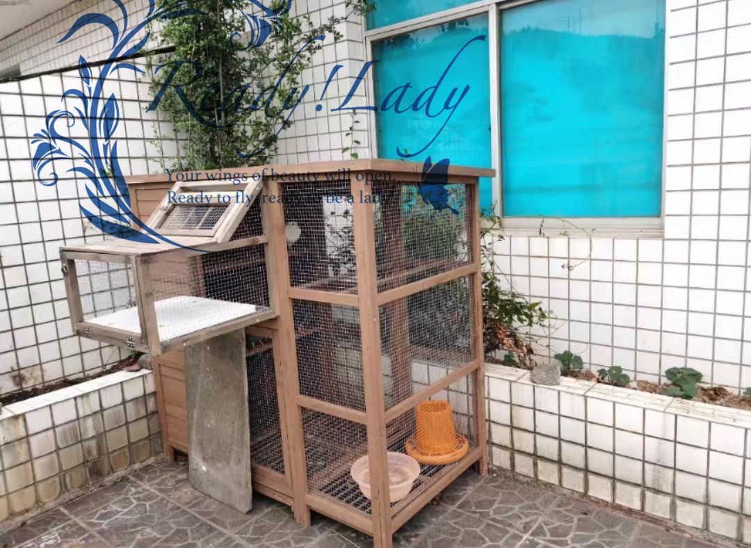 新品☆豪華別荘☆ ハトちゃんのお部屋 大型豪華ハト小屋 屋外養殖 庭用 通気性 耐磨耗 防雨防腐 木製鳥かご 飼育 アヒル - メルカリ