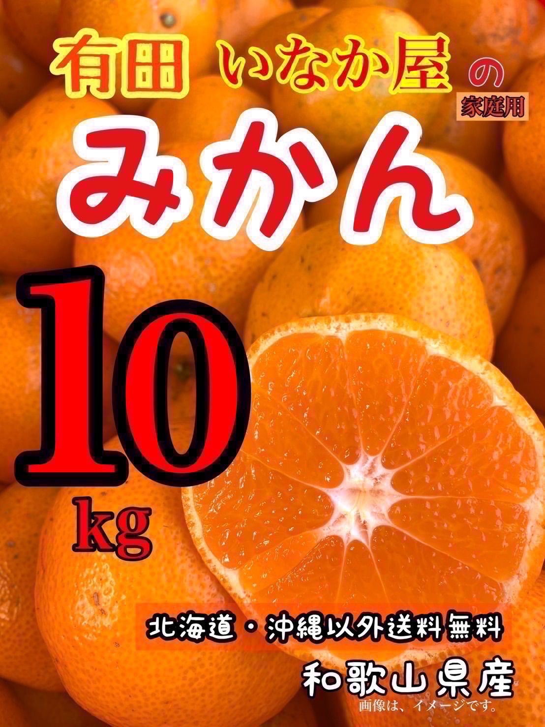 人気みかん 箱込み10kg 数量限定！早い者勝ち 和歌山県 有田 家庭用 - 果物