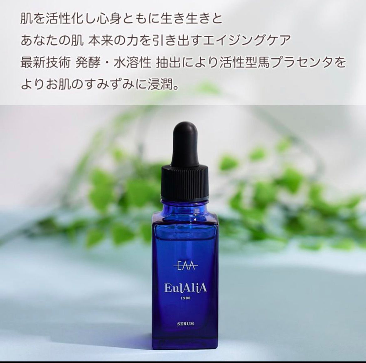 エウラリア モイストビューティークリーム 80g エウラリア モイスト