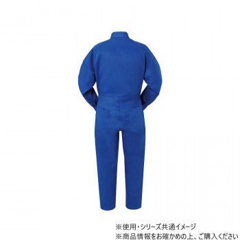 ブルー 5L