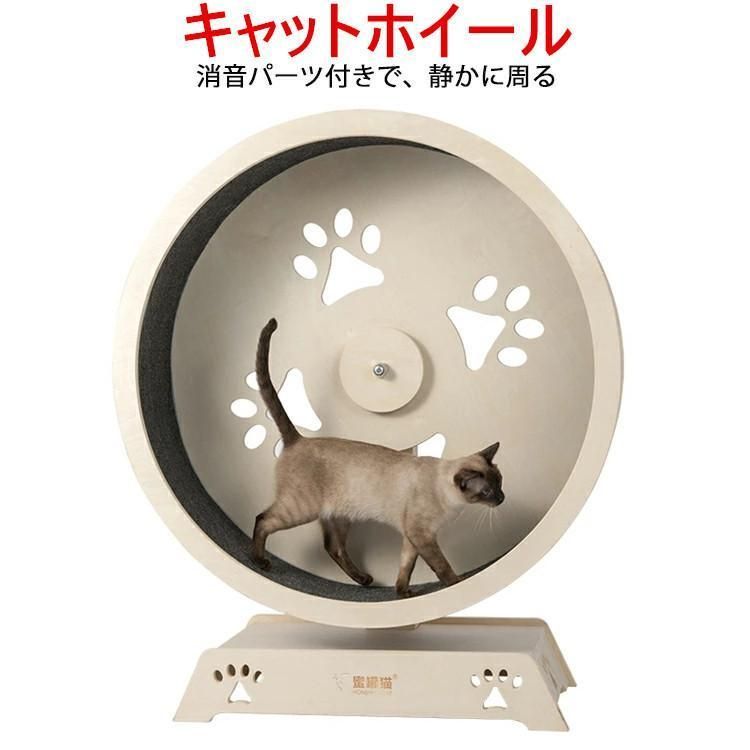 猫研削爪
