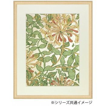 桜カマボコ