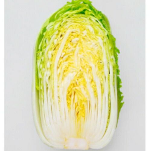 入荷次第出荷 カネコ種苗 菜時黄 白菜 ペレット５０００粒