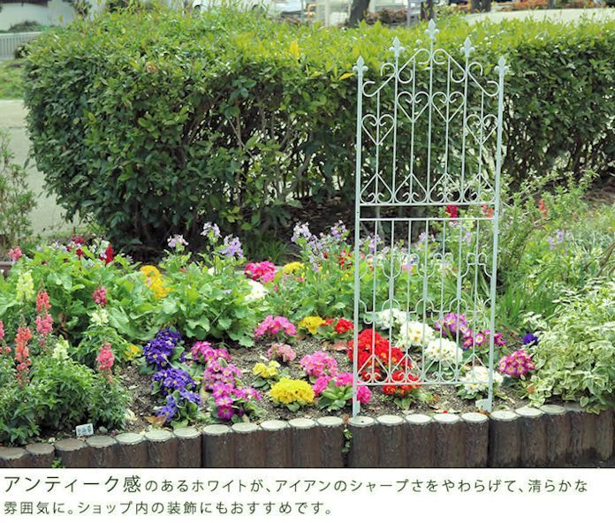 アイアンフェンス２枚組 ロータイプ 高さ156cm 間仕切り ガーデン フェンス 501