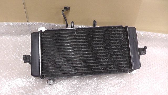 GSR250F LC6GJ55D001108xxx の ラジエター 1758264484