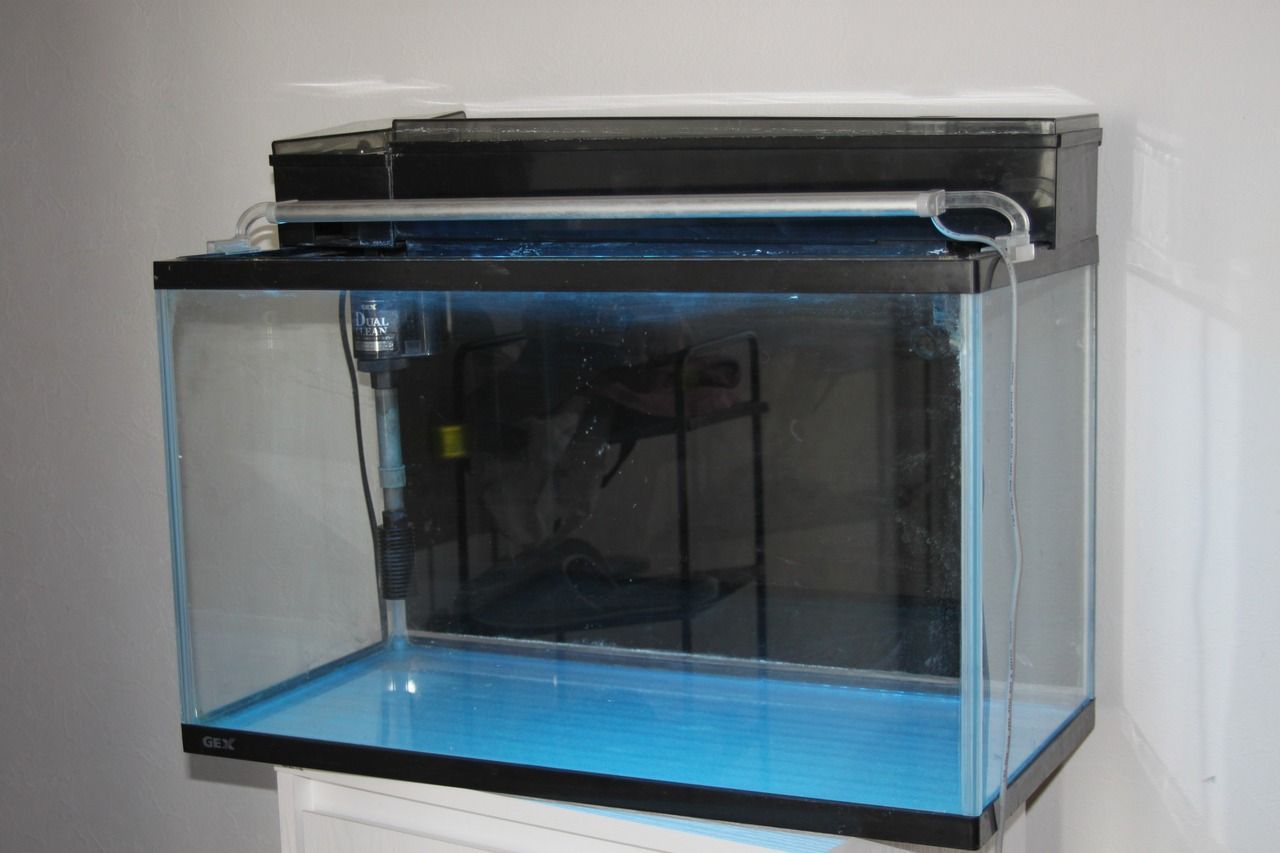GEX ガラス水槽セット 60cm LEDライト付き GEX ガラス水槽セット 60cm LEDライト付き