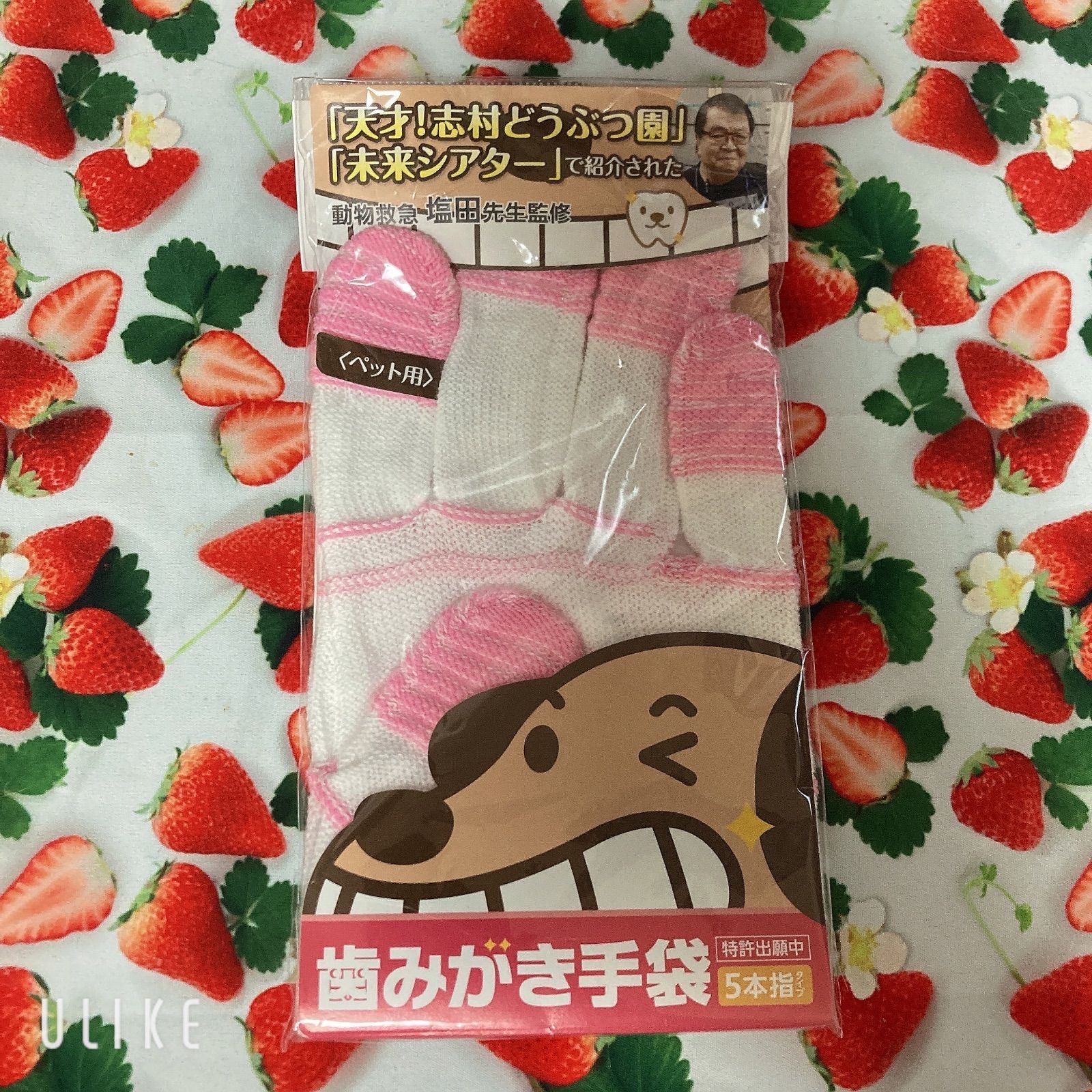 歯磨き手袋(犬用) DOGショップ メルカリ