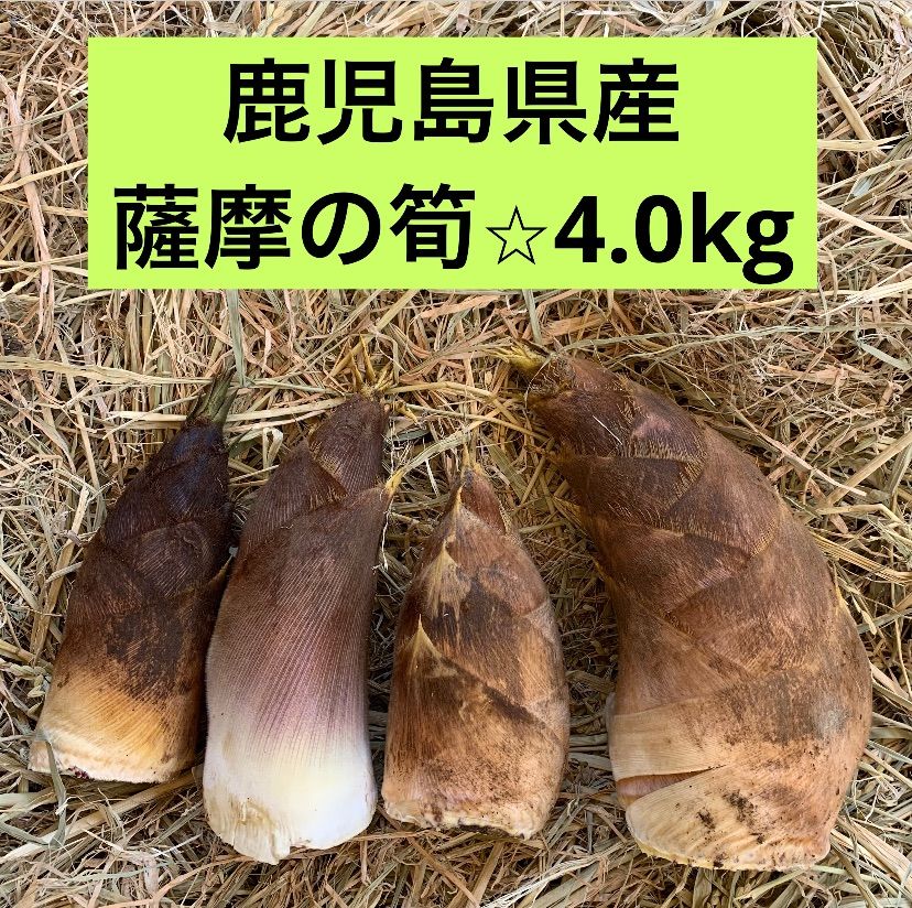 鹿児島県産 早堀たけのこ 6Kg ゆはな様専用