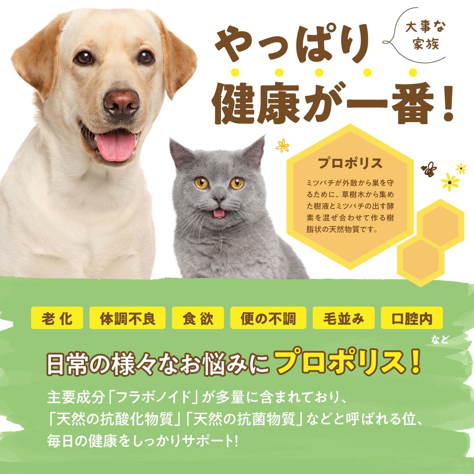 約3カ月分