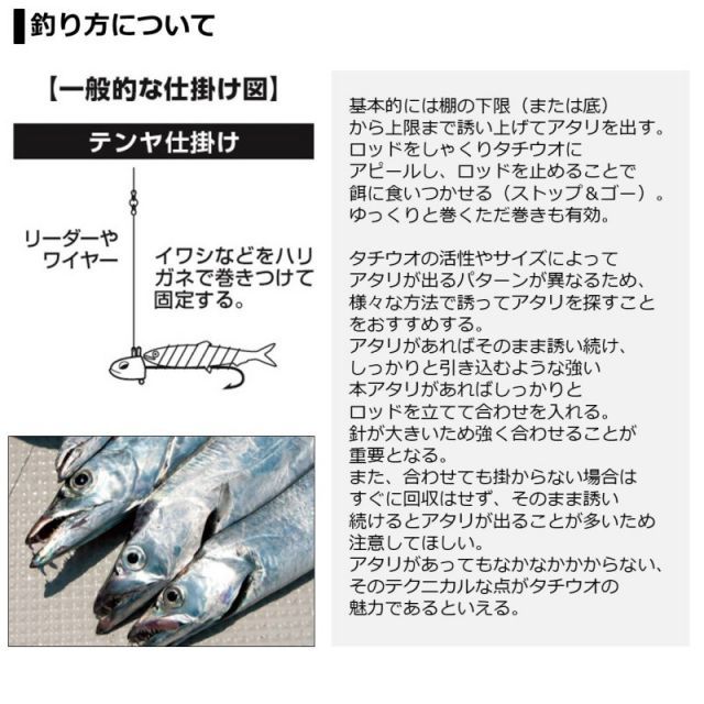 ダイワ テンヤタチウオ X 180・R | 釣具 釣り フィッシング - メルカリ