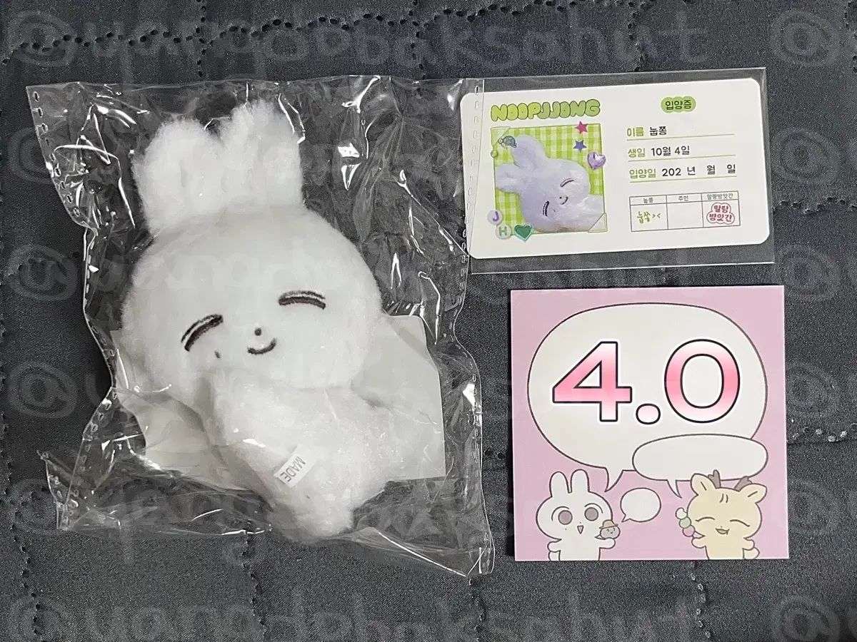 SEVENTEEN エスクプス attacca ヨントントレカ ラキドロ 3枚セット