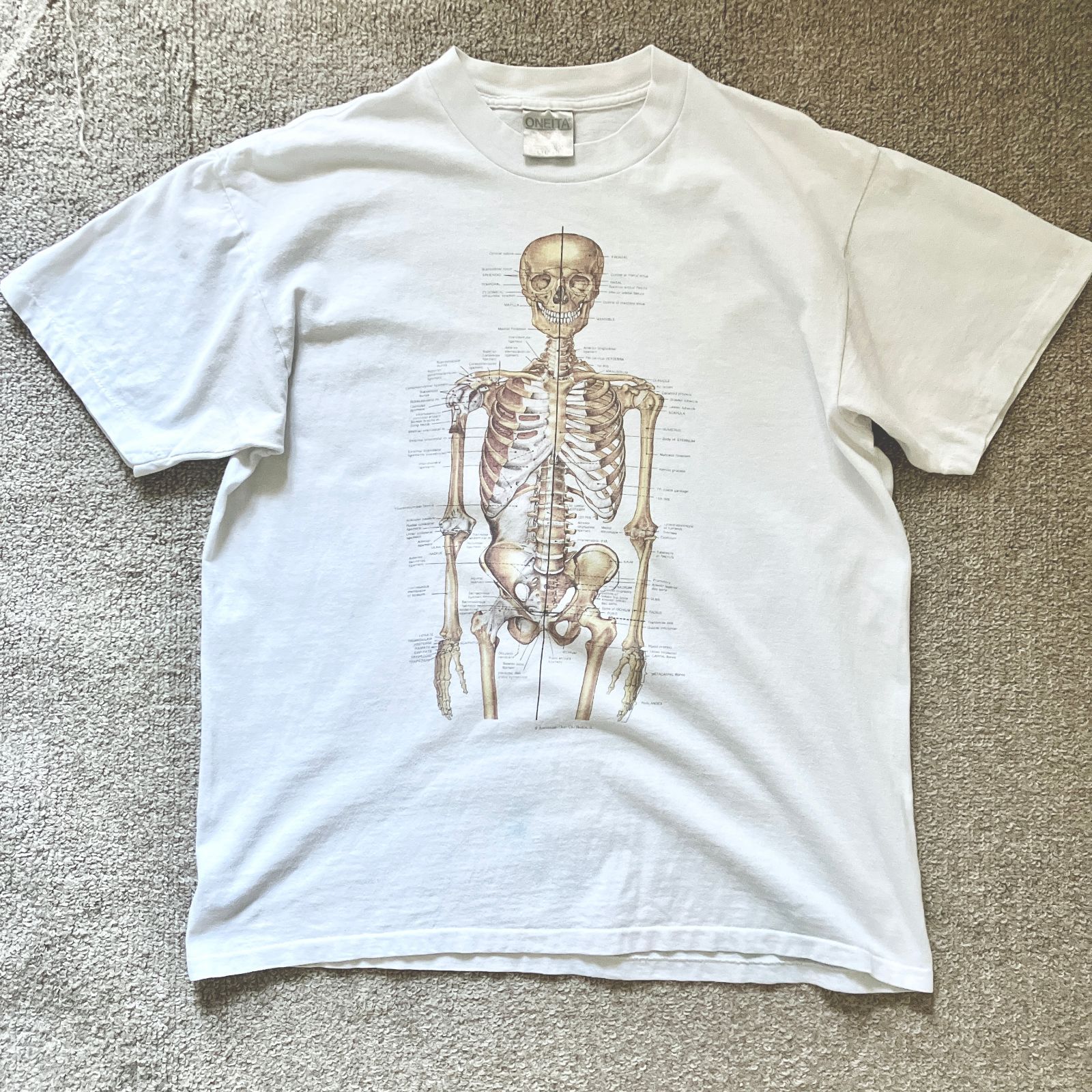 骨格標本kuAnatomical Chart T-shirt 骨格標本 nirvana