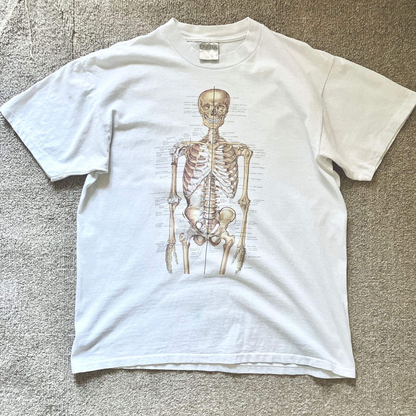 90s anatomical chart 人体標本 nirvana 80s Anatomical Chart T-shirt 骨格標本 NIRVANA 90s アメリカ製