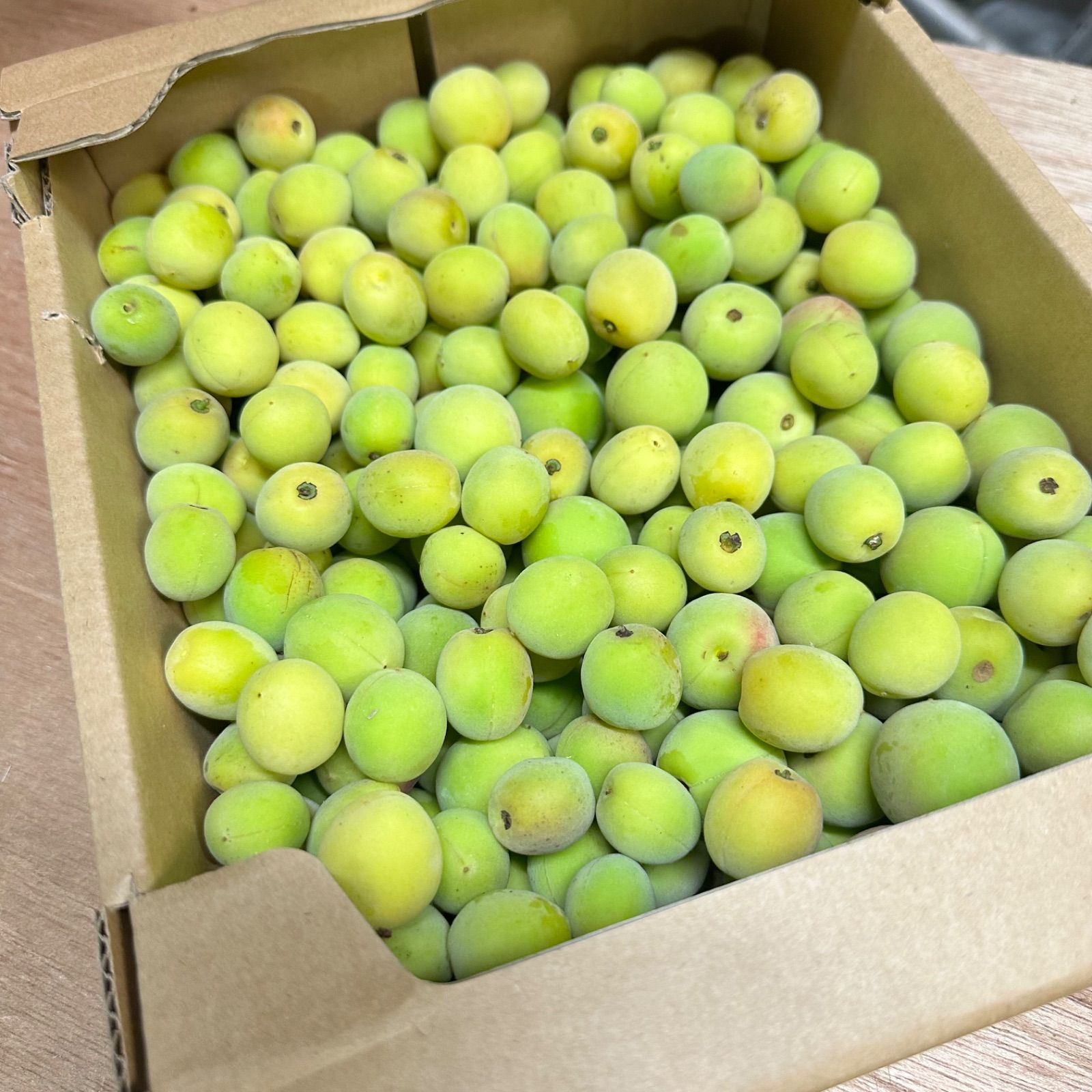 クール便【幻の梅】山形県寒河江市産 谷沢梅 箱抜き 2kg 中熟
