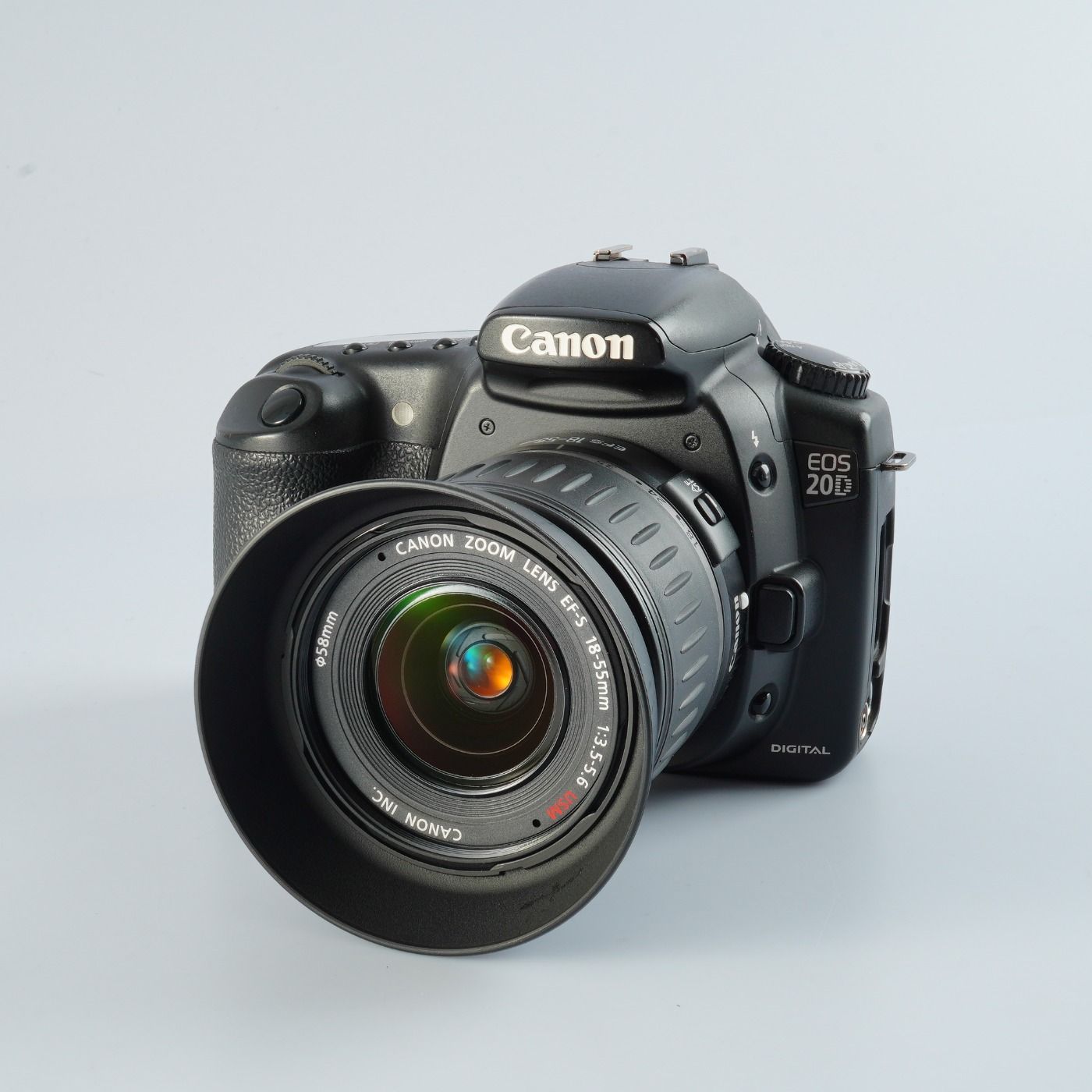 スキンダプサス ニルマラ 1