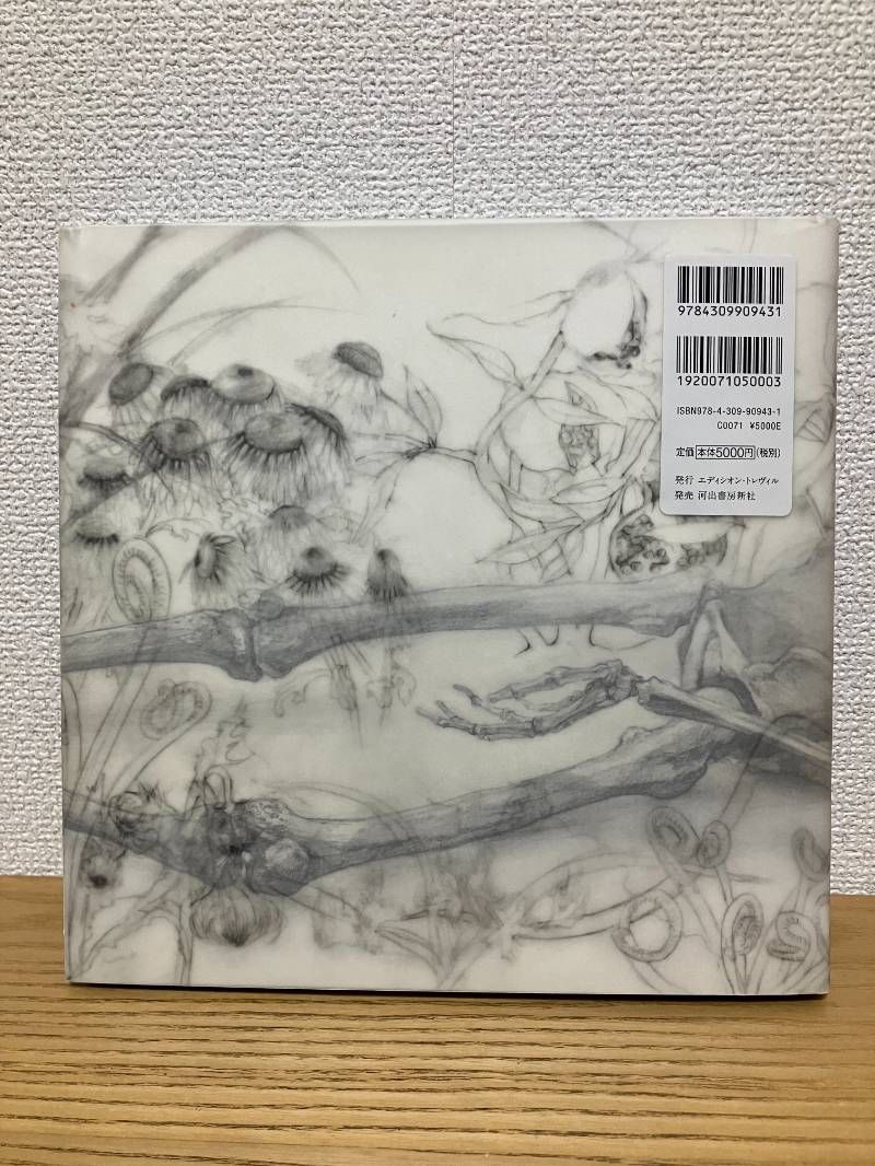 松井冬子画集 世界中の子と友達になれる エーテー アートブック