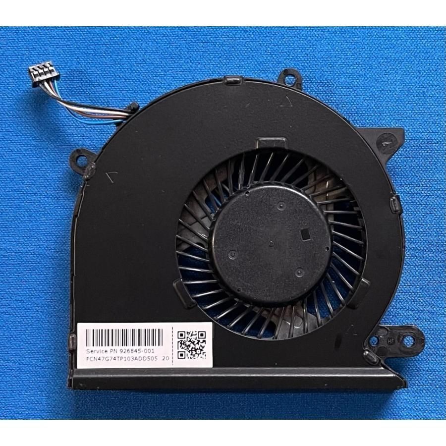 P.willinckii Blue Queen Dwarf#1 タグ付き