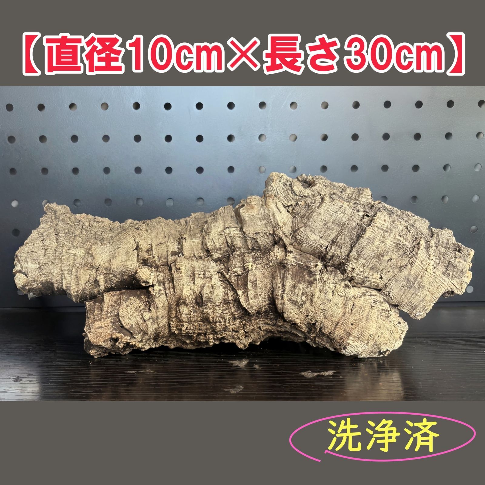 250824 ポルトガル産 キャノンコルク コルク樹皮 コルク板バージンコルク