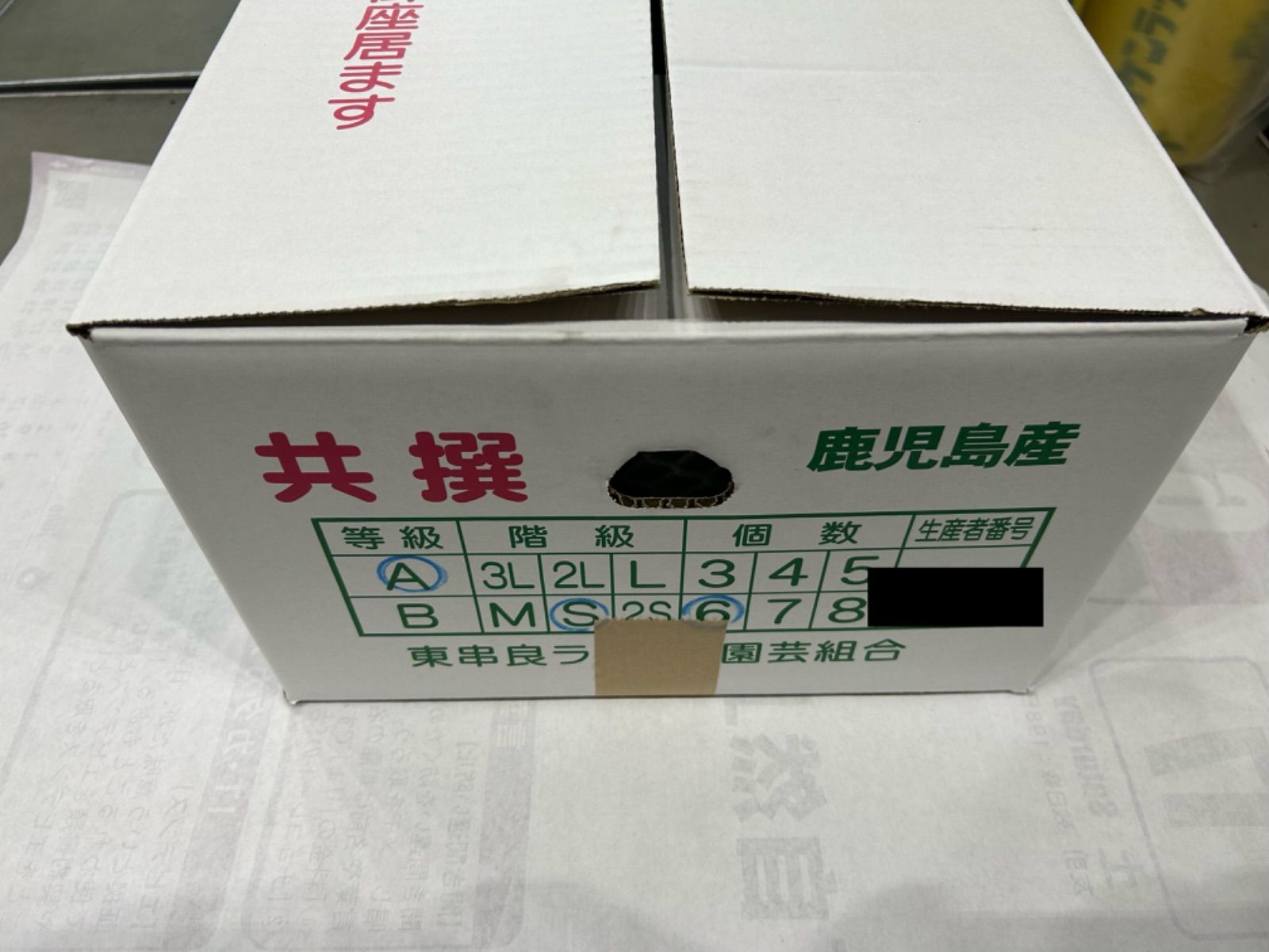 鹿児島県産