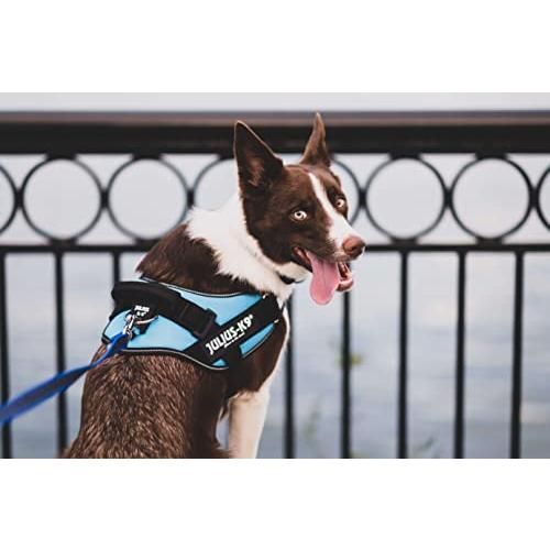 ユリウスケーナイン IDCパワーハーネス レッド ベイビー2