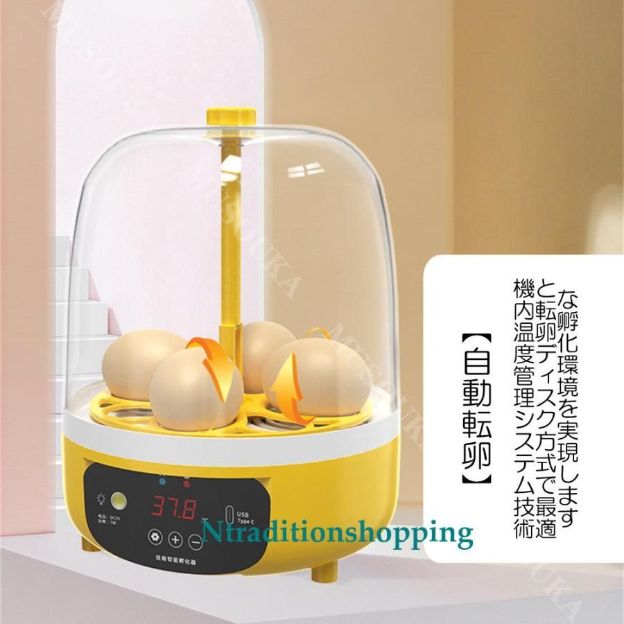 自動孵卵器 孵化器 インキュベーター 小型孵卵器 鳥類専用ふ卵器 自動転卵 自動 51BnvTCoa4L._UF350,350_QL50_.jpg
