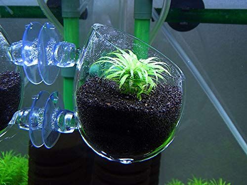 在庫 鉢 ガラスポット クリア スカイガーデン スカイガーデン ポット 水中 植物 水槽 水族館 水草 水草ポット 壁掛け水槽 水槽鉢 ガラス 飾り 2個セット