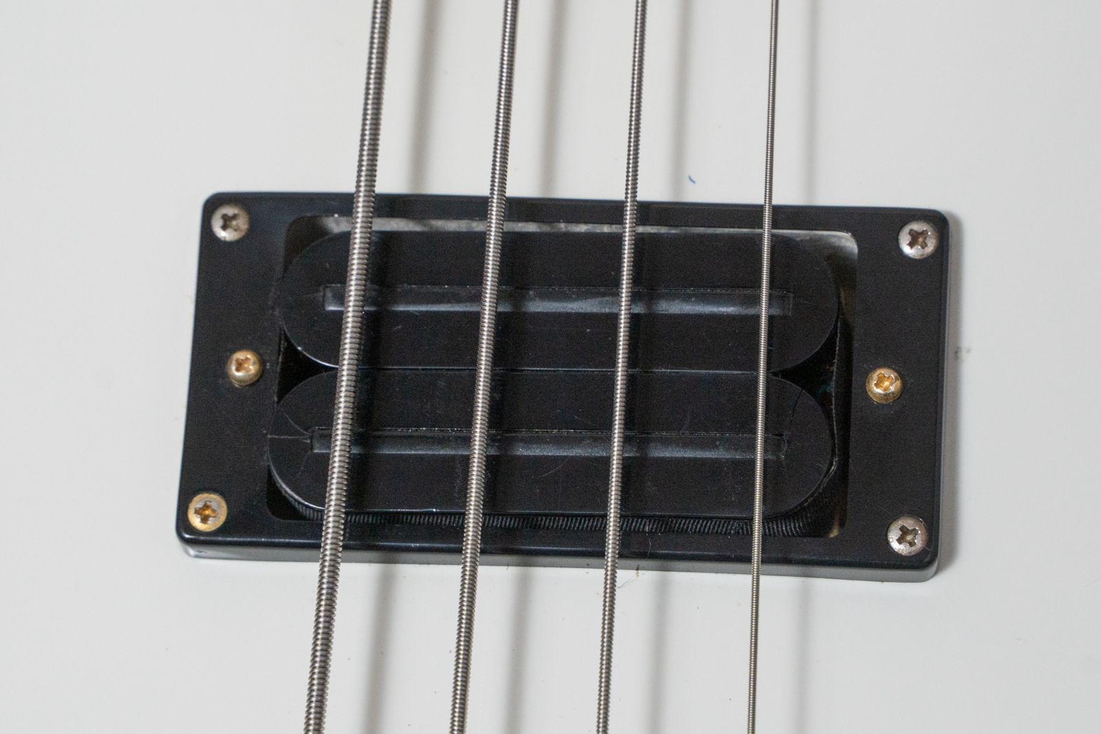 2025年最新】grassroots レスポールの人気アイテム - メルカリ レア