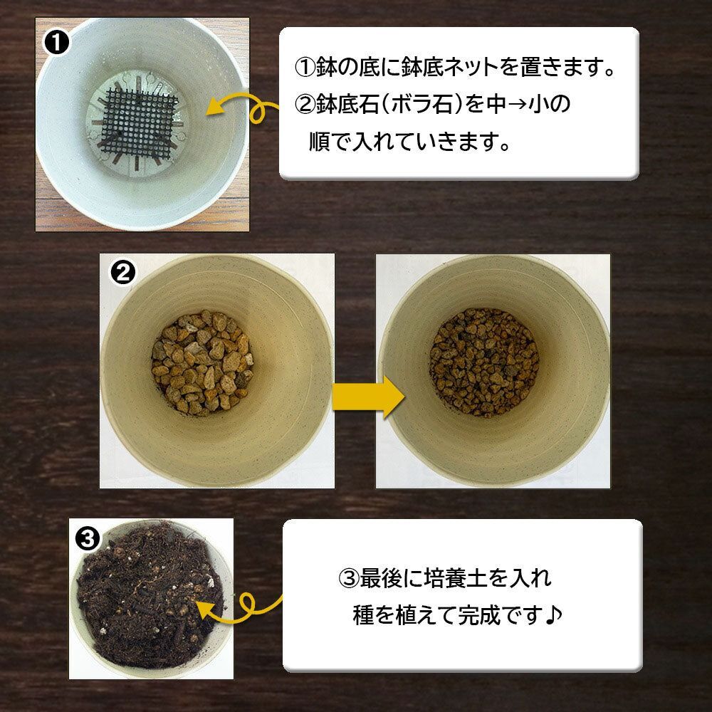 1000円ポッキリ】 観葉植物 野菜 種 植え替え 4号土セット 10種
