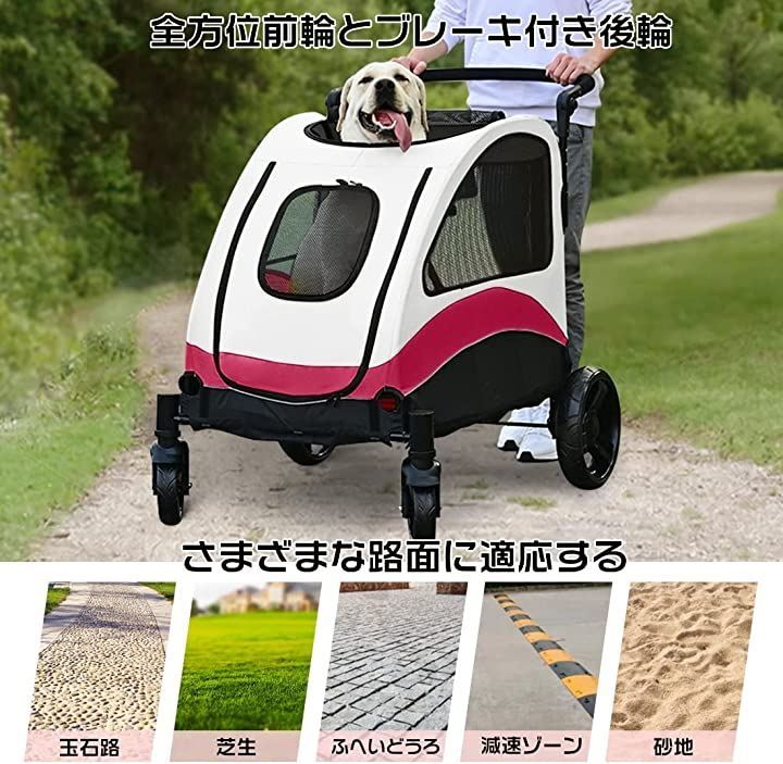 多頭中小型犬