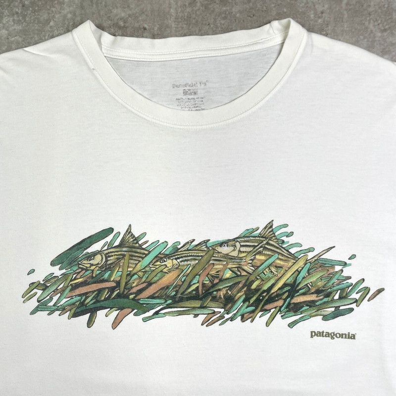パタゴニア　ワールドトラウトTシャツ patagonia. world trout t-shirt | BRIDGE