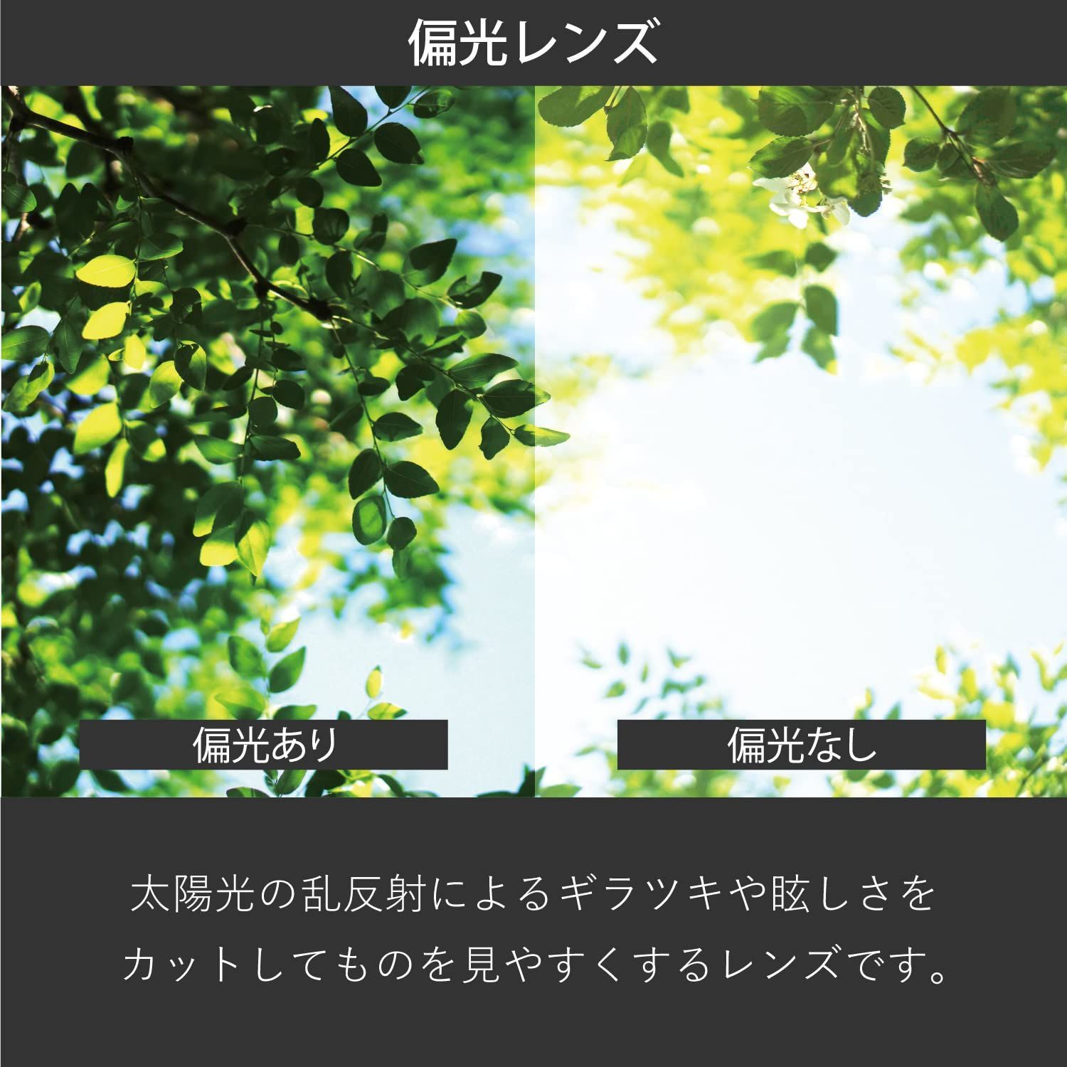 ドライブ フィッシング