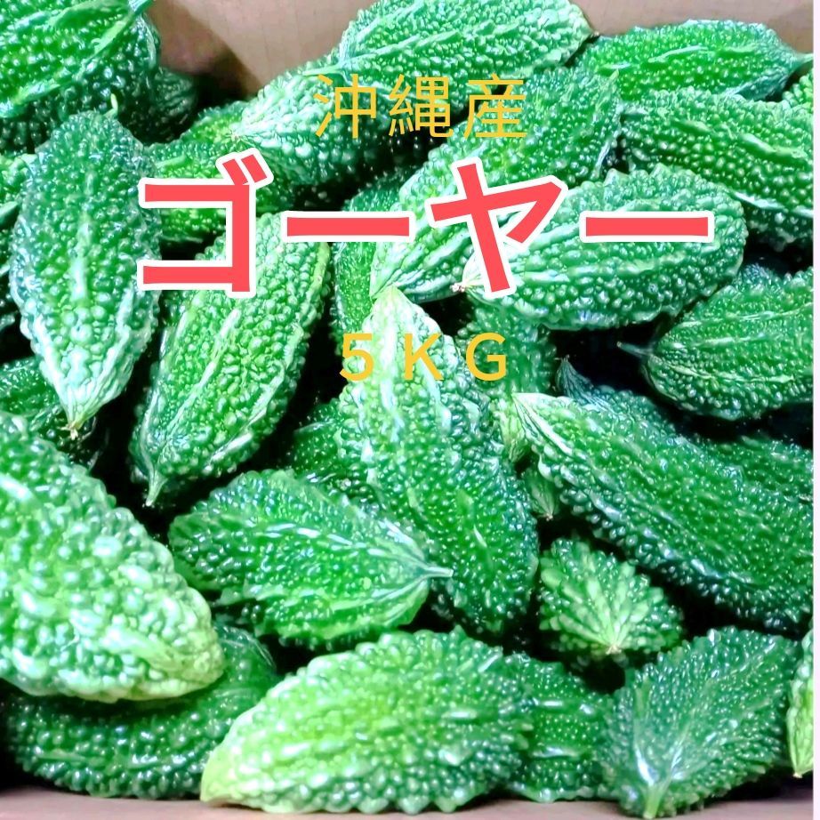 沖縄野菜 ゴーヤー 5キロ サイズがバラつきがあります