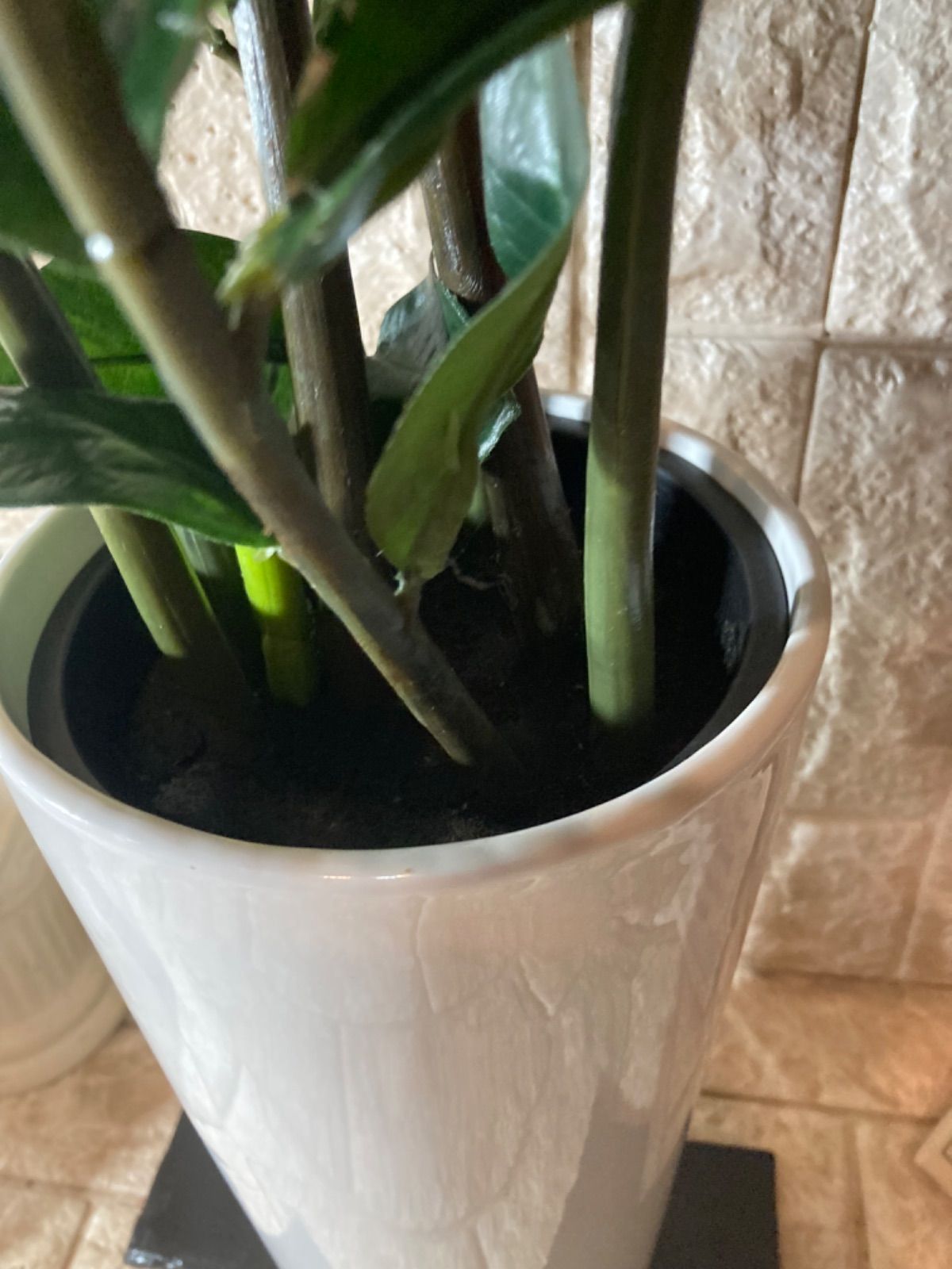 配送 光触媒 人工観葉植物 ウォールグリーン フェイクグリーン